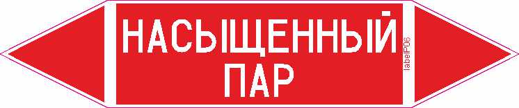 НАСЫЩЕННЫЙ ПАР